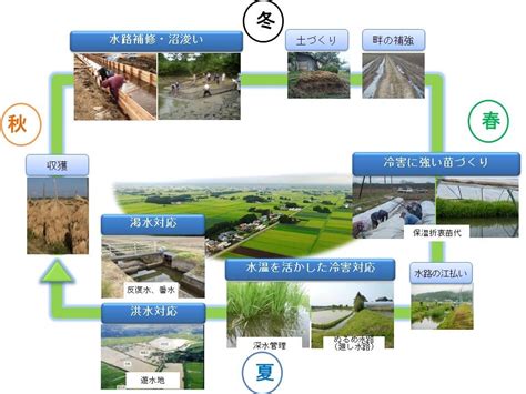 番筧水|番水の仕組み – 大崎耕土「世界農業遺産」